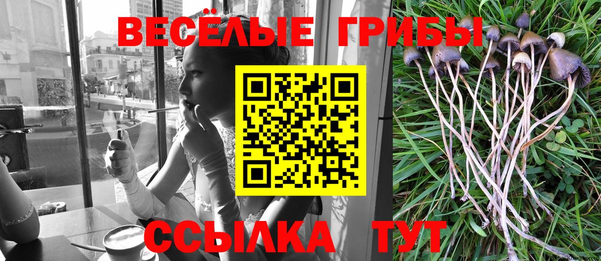 купить наркотик  Вход с VPN  Севастополь  Псилоцибиновые грибы Magic Shrooms 