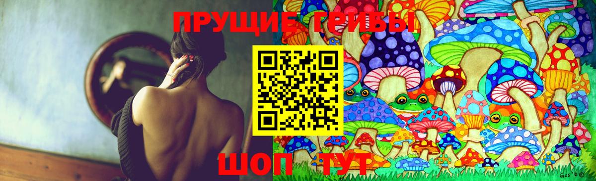 Псилоцибиновые грибы Psilocybe Севастополь